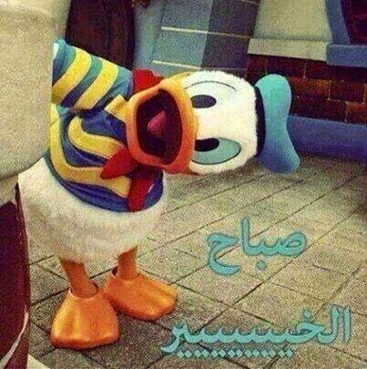 صباح الخير مضحكة فيس ٣