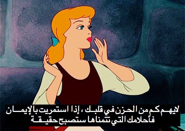 1بوستات كرتون مكتوب عليها