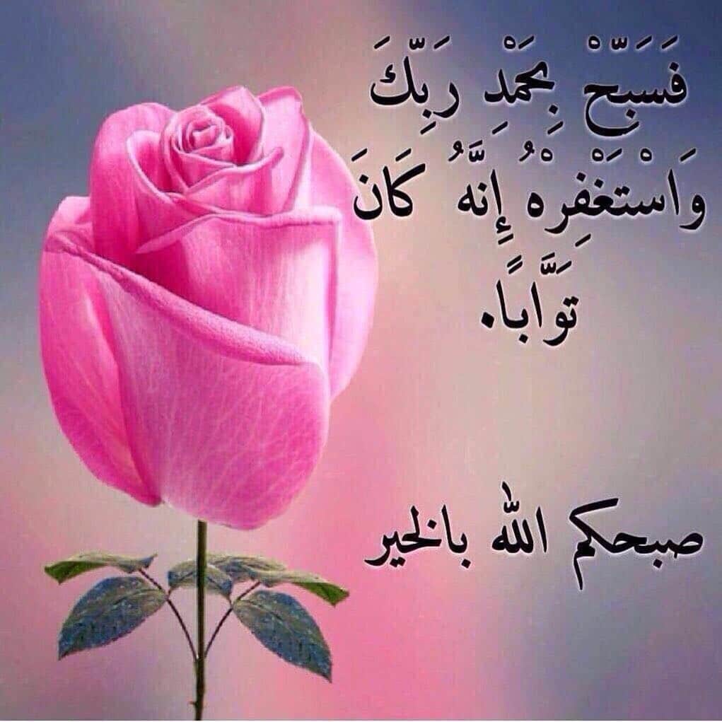 صباح الخير حبيبي الغالي