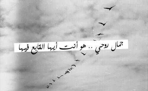 كلام عن الحب فيس بوك