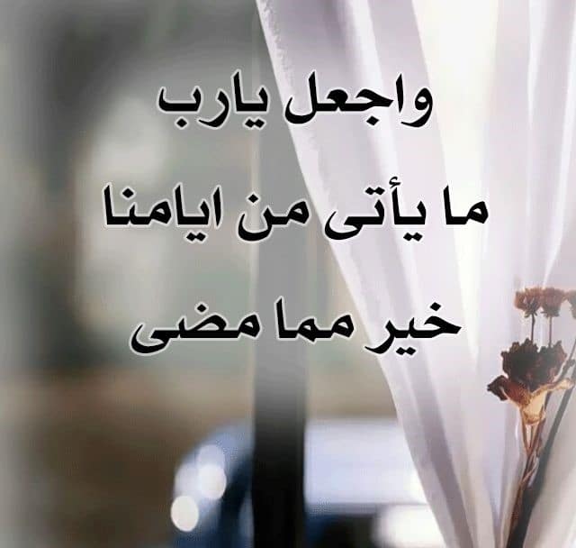 منشورات فيس بوك جديدة ٤