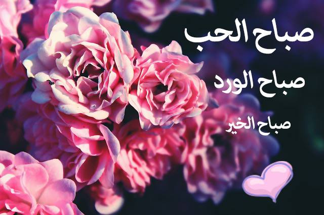 رسائل حب صباح الخير حبيبي