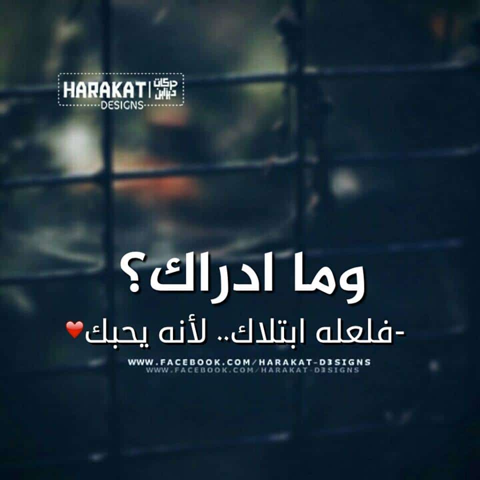 منشورات تجذب المعجبين ١