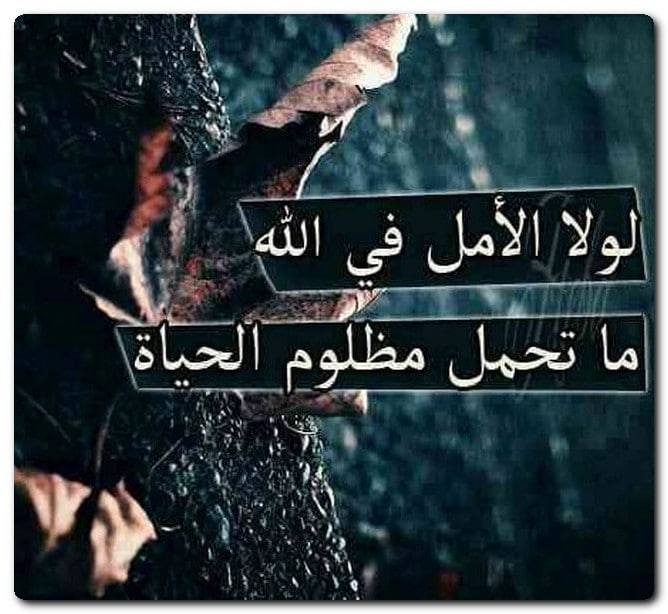 منشورات دينية  ٥