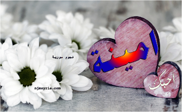 اجمل الصور مكتوب عليها اسم امنية 2