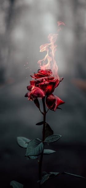 تنزيل خلفيات شاشة ٤