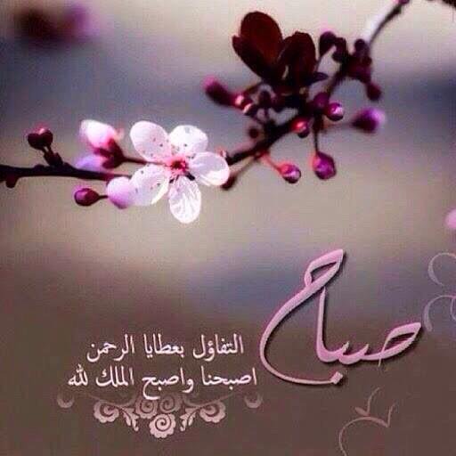 بوستات صباح الخير حديثة