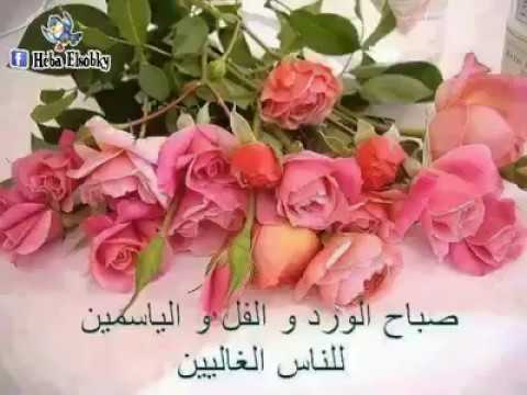 بوستات صباح الورد والياسمين ٢