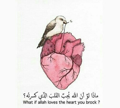 منشورات تفاعلية للفيس بوك ٢