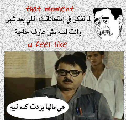 بوستات تجذب التعليقات ٣