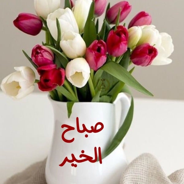 بطاقات صباح الخير روعه ٣