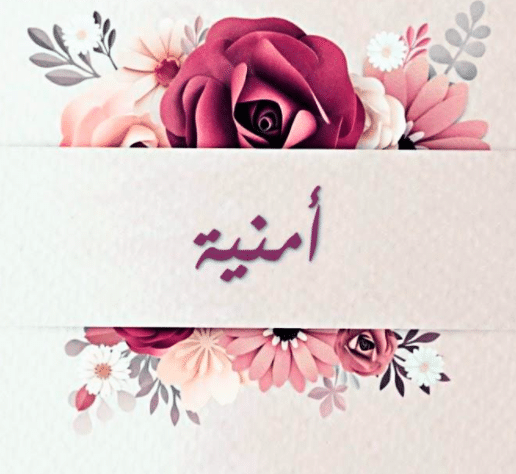 اجمل الصور مكتوب عليها اسم امنية 6