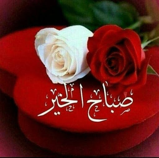 باقات ورد صباح الخير للحبيب ٤
