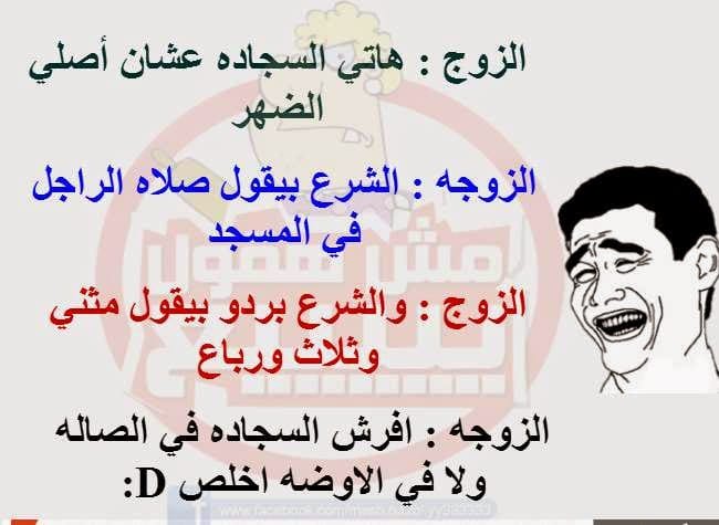 بوستات مضحكة عن البنات