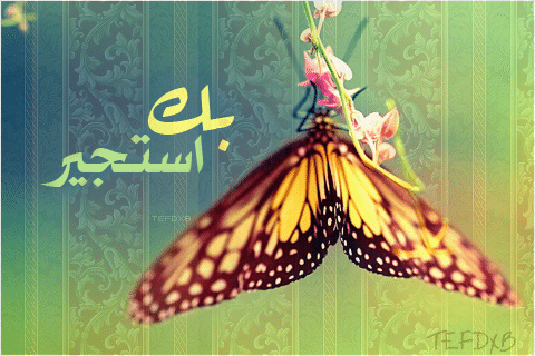 اسماء جروبات واتس دينية