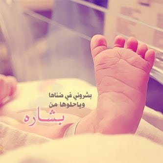 عبارات بشارة مولود