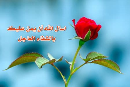 كلمات ترفع الروح المعنوية للمريض
