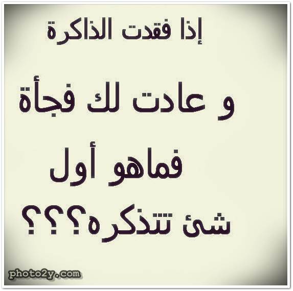 الصورة للفت الانتباه فقط ٤