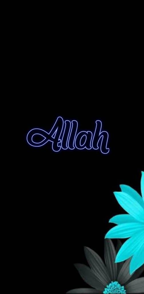 خلفيات شاشة فخمة ١