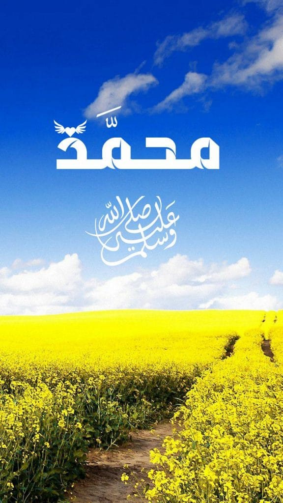 خلفيات الشاشة HD ١