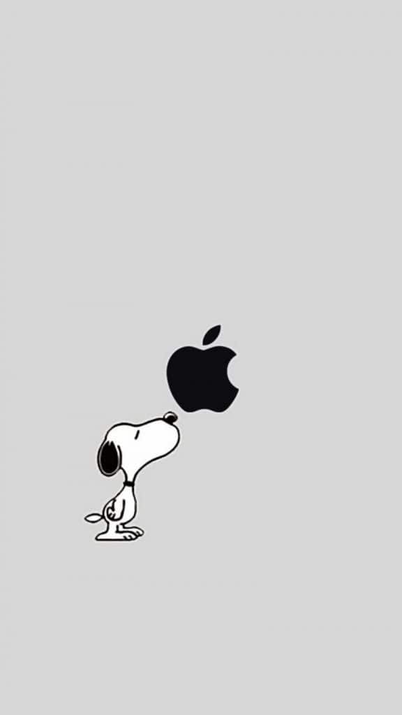 خلفيات رقيقة للموبايل ٥