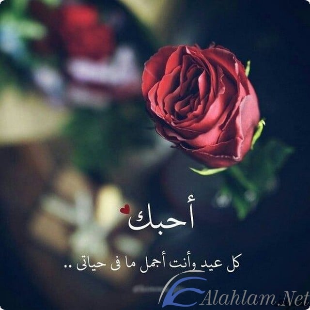 رسائل عيد ميلاد للحبيب رومانسية مصرية