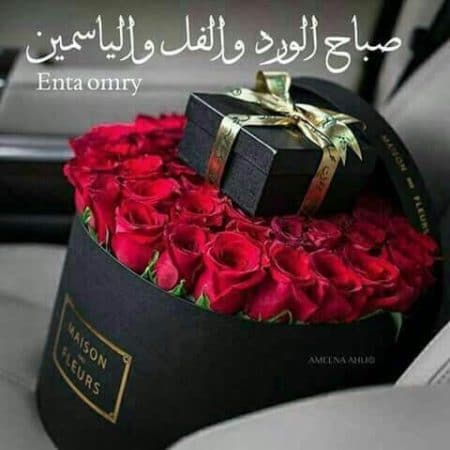 بوستات صباح الورد والياسمين ٣