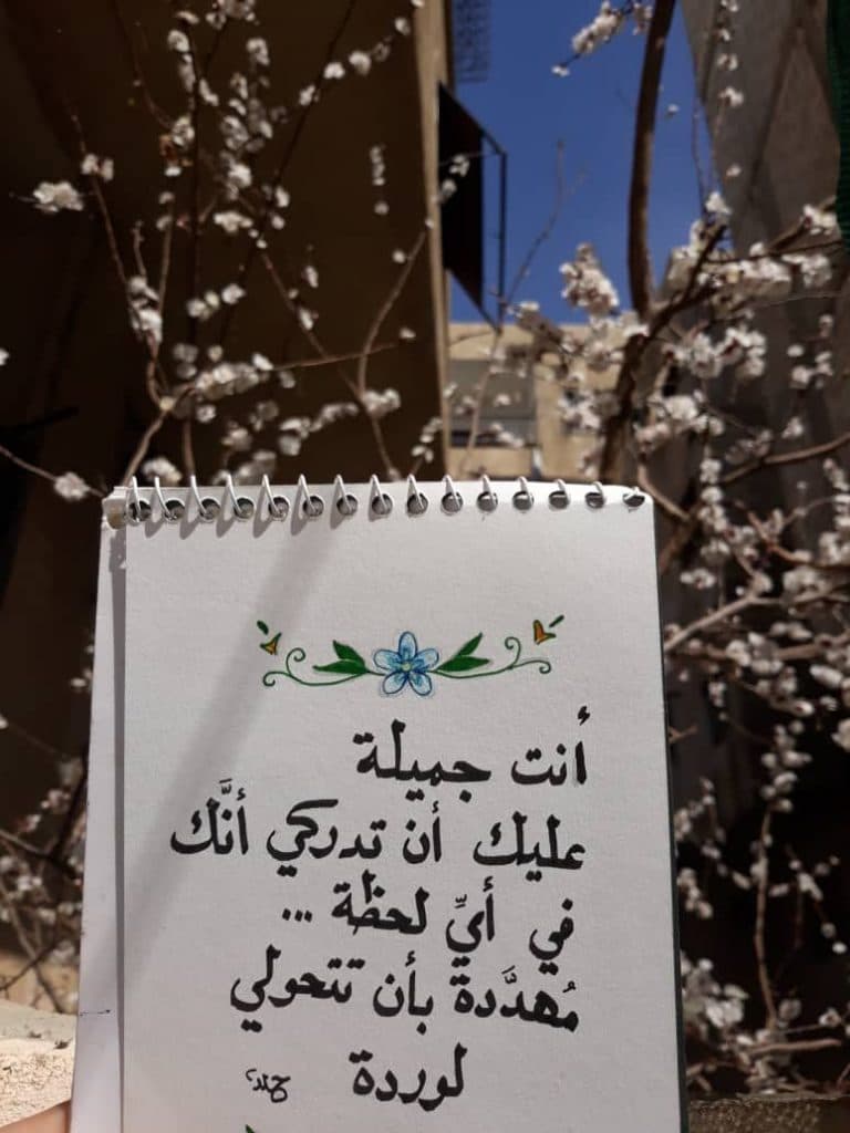 أنت جميل جدا