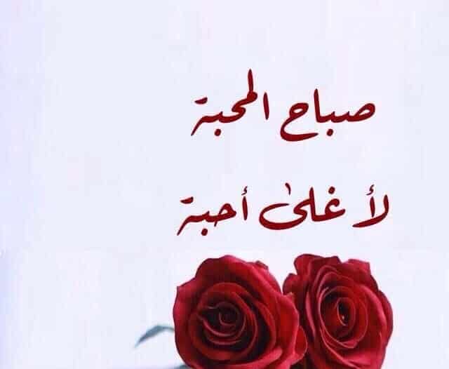 باقات ورد صباح الخير للحبيب ٣