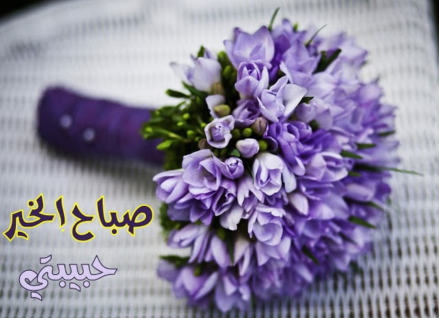 صباح العشق صباح الحب حبيبتي صباحي أنتي