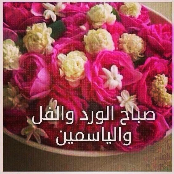 بوستات صباح الورد والياسمين ١