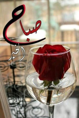بوستات صباح الخير بالورد ١