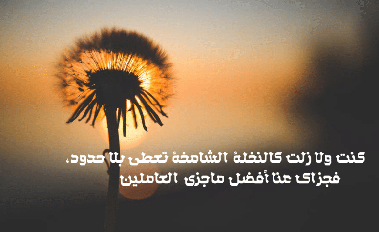 كلام جميل لشخص تحبه في الله