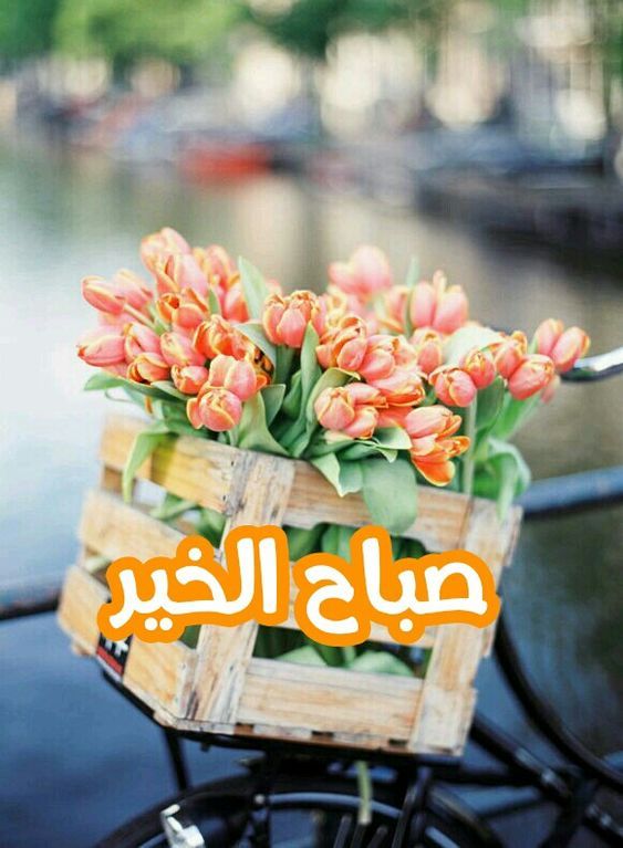 بوستات صباح الخير جديدة