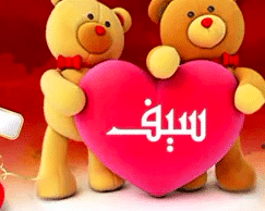 عيد ميلاد ابني سيف