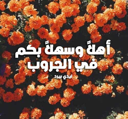 منشورات تفاعلية للكروبات ١