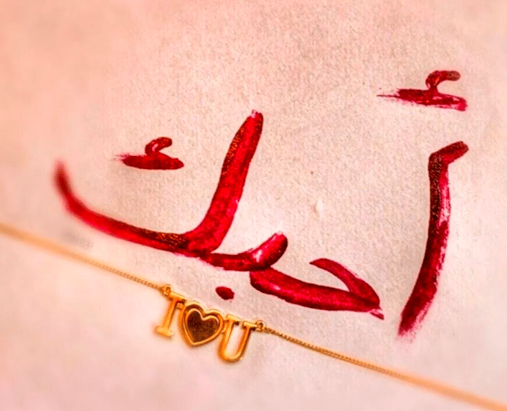 انت حبيبي ودنيتي وماي عيني 