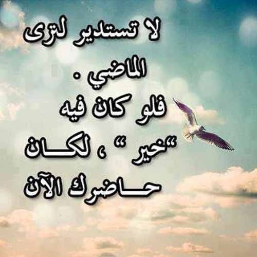عبارات جميلة