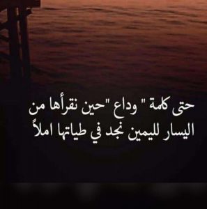 عبارات توديع تويتر