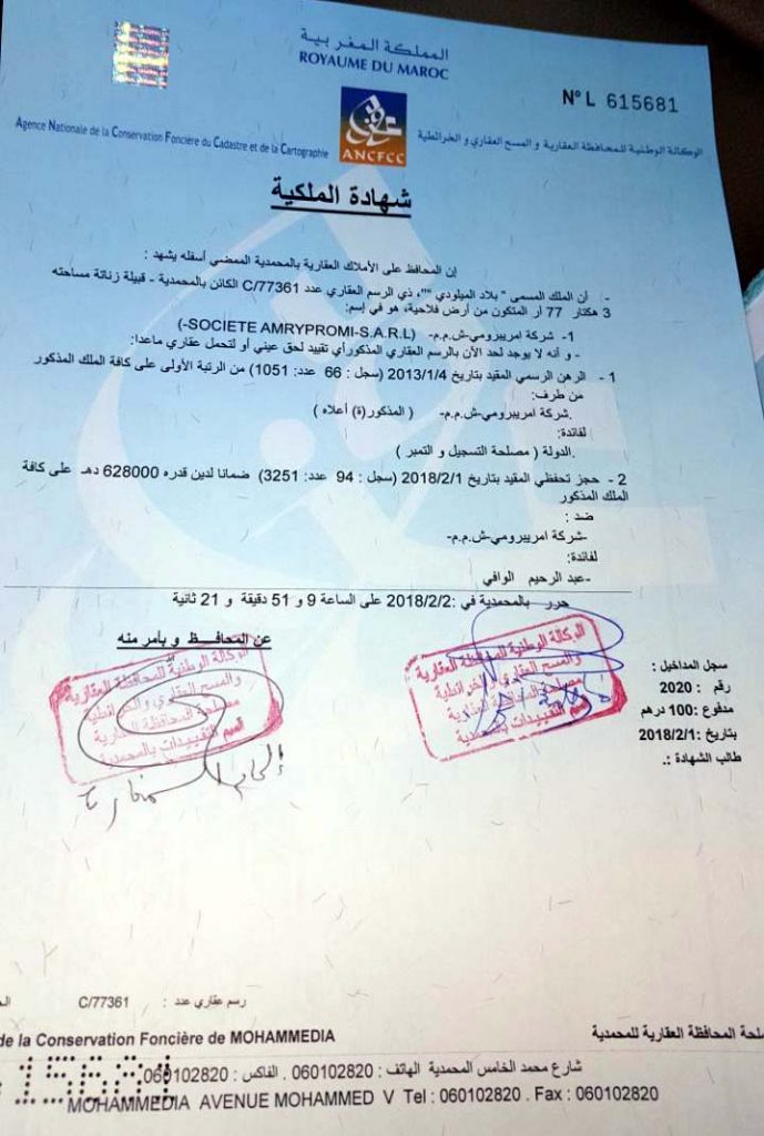 نموذج شهادة الملكية