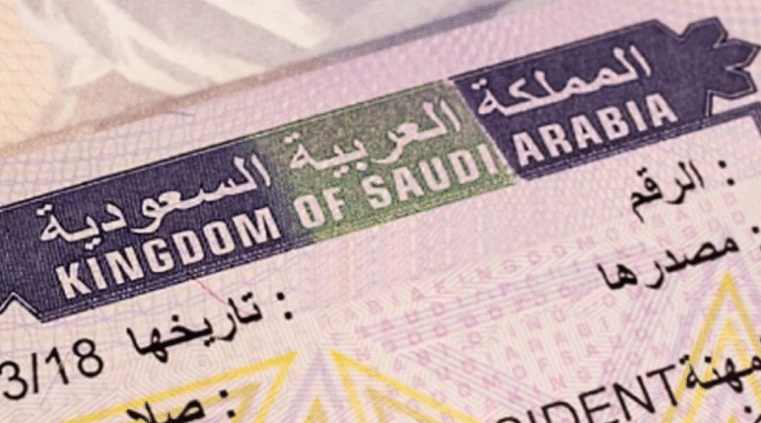 إنجاز استعلام عن تأشيرة برقم الطلب