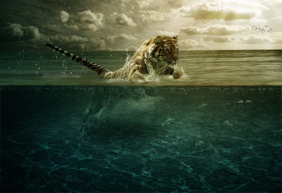 تصاميم فوتوشوب للمبتدئين ٤