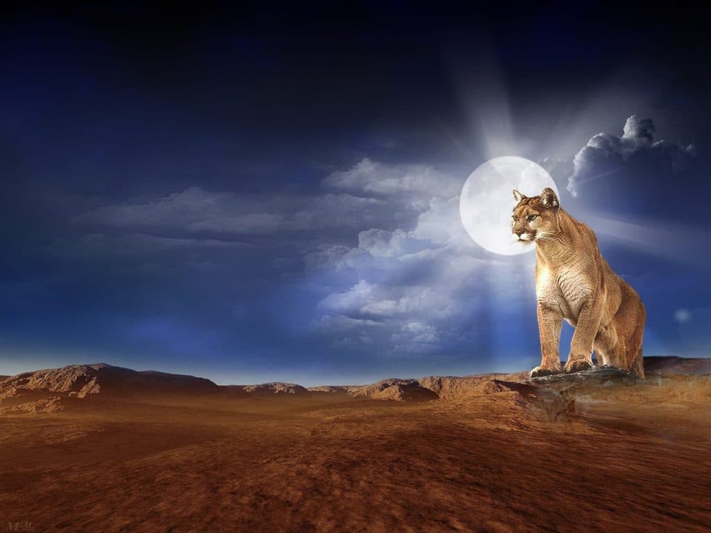 تصاميم فوتوشوب 2021 ٥