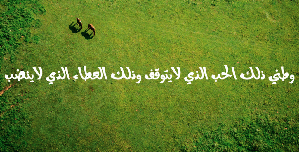 عبارات وصور عن الوطن 2