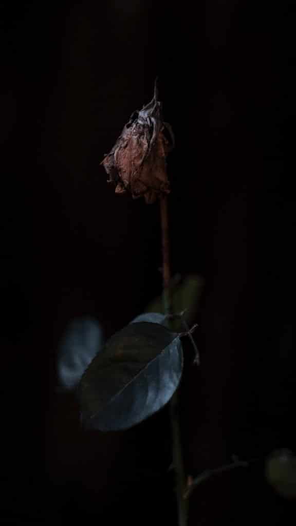 خلفيات سوداء فخمة ٦