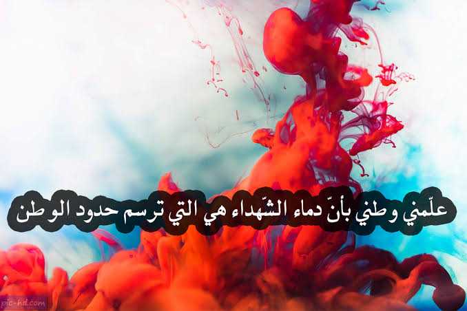 عبارات وصور عن الوطن 5