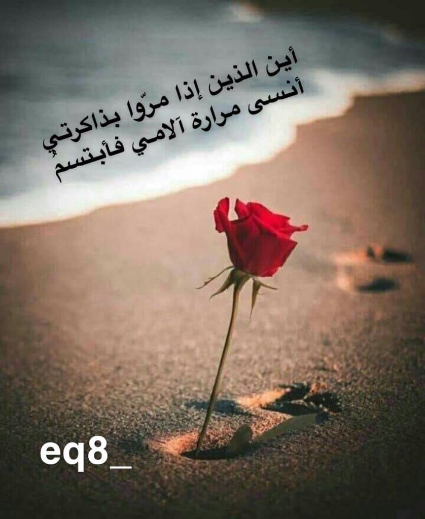 عبارات عن البنات تويتر 1
