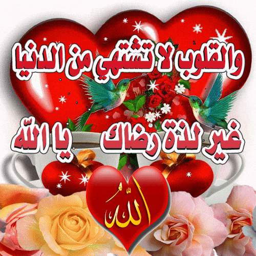 خـلفيات ادعية اسلامية متحركة 4