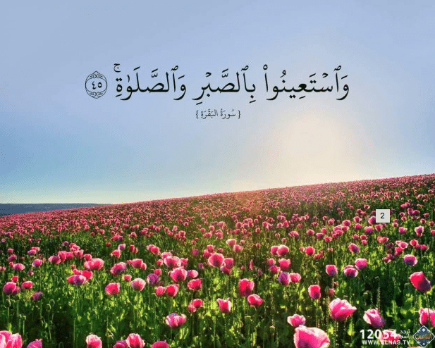بوستات آيات قرآنية عن الصبر ١