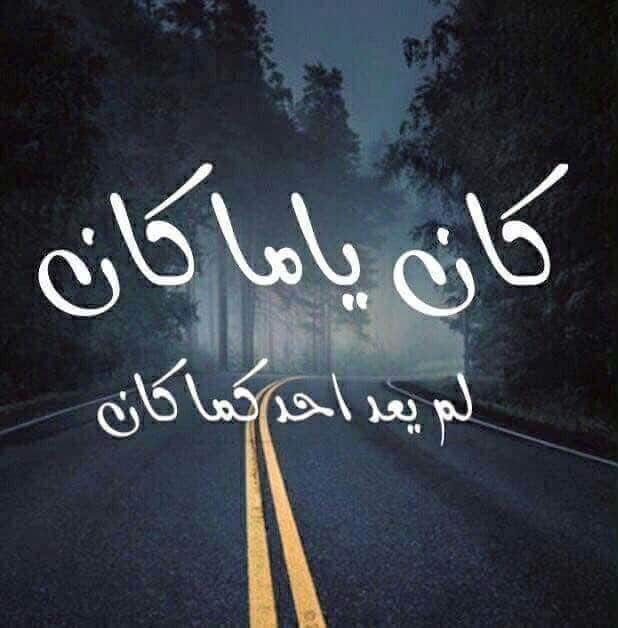 خلفيات واتس عن المصالح 4